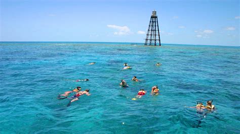 Afternoon Snorkeling in Key West | Fury Reef and Ritas Trip