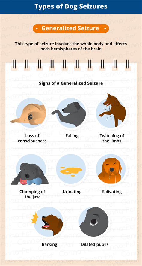 What Are The Side Effects Of Seizures In Dogs