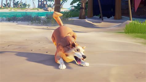 Sea of Thieves will add dogs with the September update