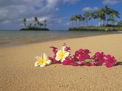 Hawaii Spring Wallpapers - Wallpaper Cave