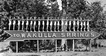 Historic Hotels in Wakulla Springs, Florida | The Lodge at Wakulla Springs