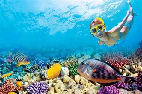 Full-Day Key West Tour and Coral Reef Snorkeling with Open Bar 2024 - Miami