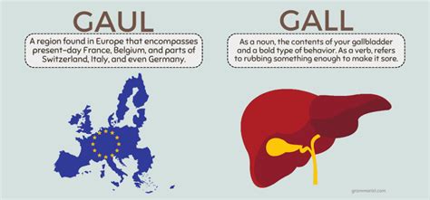 Gall or Gaul - Definition & Difference