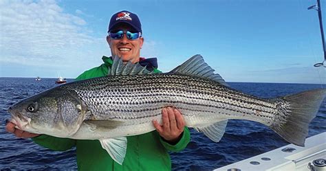 Striped Bass Fishing Tips, Striper Fishing | Salt Water Sportsman