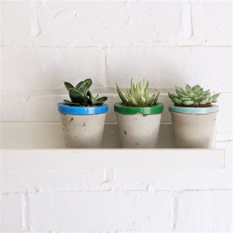 6 of the best desk plants to brighten up your workspace