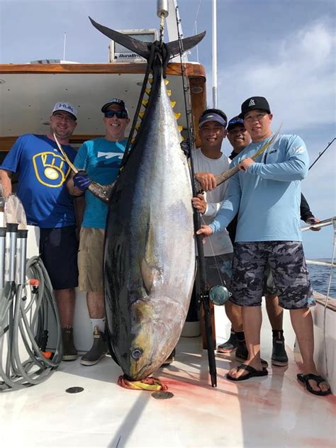 Angler Catches Potential 450-Pound World Record Yellowfin Tuna With ...