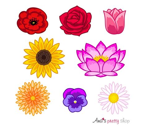 Flowers Clip Art, Flowers Clipart, Colorful Flowers, Flower Heads ...