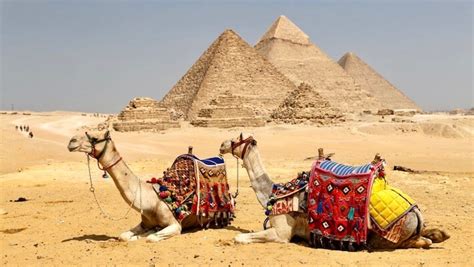 Giza Pyramids Half Day Tour [Explore the Giza Necropolis in Cairo]