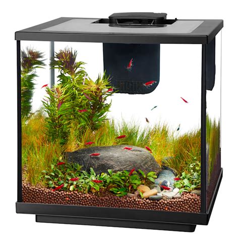 Aqueon LED 7.5 Gallon Shrimp Aquarium Kit | Petco