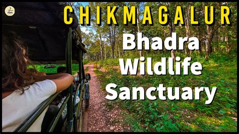 Bhadra Wildlife Sanctuary | Uncover the Thrills of a Jungle Safari in ...