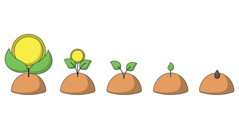 Stages of growth of a sprout from a seed to a coin-shaped flower in ...