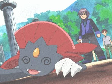 What Happens to a Pokemon When They Faint? [Blog] | Pokémon Amino