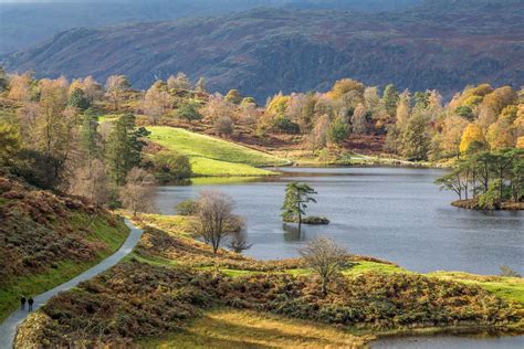 Tarn Hows walk - The Tarns walk - Coniston walks - Lake District walks