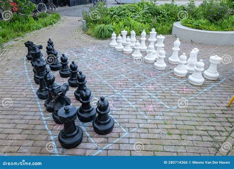 Black and White Chess Pieces Stock Photo - Image of recreation, piece ...