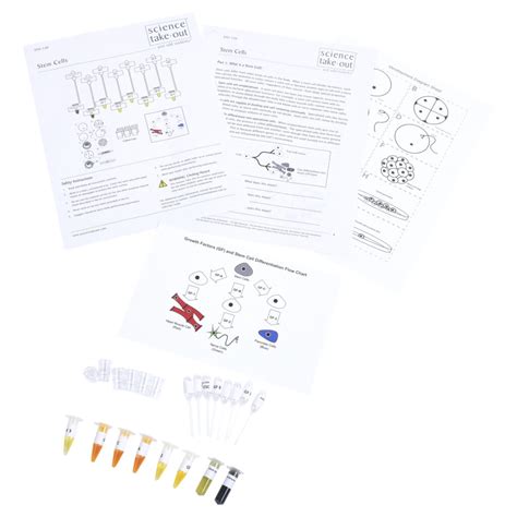 Stem Cells | Science Take-Out | Hands-On Learning Kits