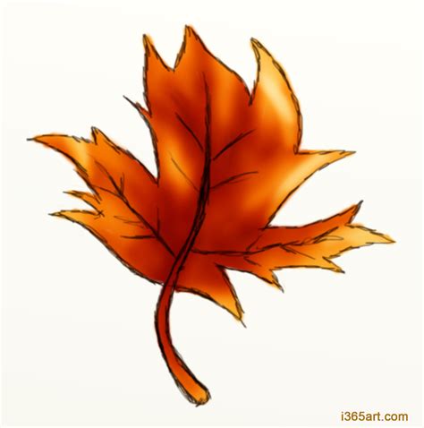 Autumn Leaf Drawing at GetDrawings | Free download