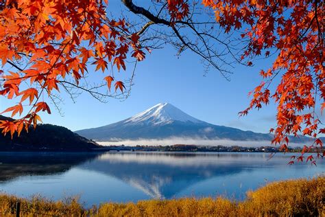 Fujikawaguchiko Attractions | Activities by Fuji Five Lakes & Mount Fuji