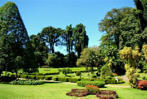 Royal Botanical Gardens in Kandy, Sri Lanka – a must visit! | Blue Lanka