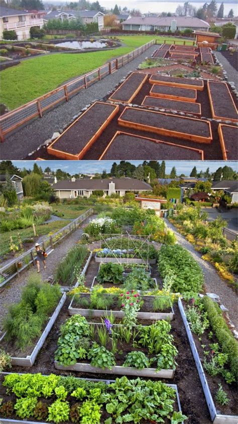 Vegetable Garden Layout: 7 Best Design Secrets - A Piece Of Rainbow