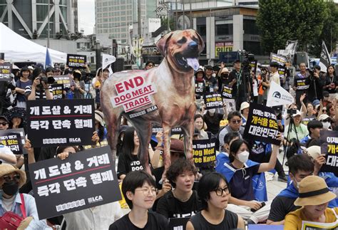 Dog Meat Trade Faces Growing Criticism in South Korea. But Banning It ...