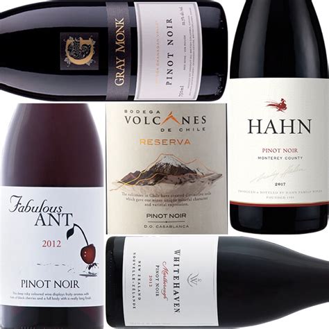 Pinot Noir: A Rundown of 5 Prime Picks Under $25 » Social Sips