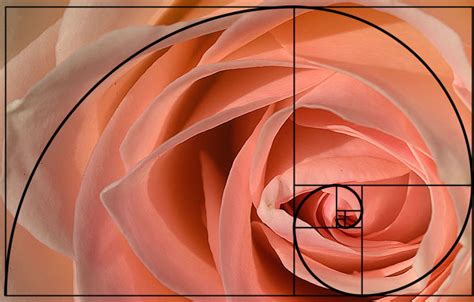 Golden ratio applied to photography with Golden spiral similar to ...