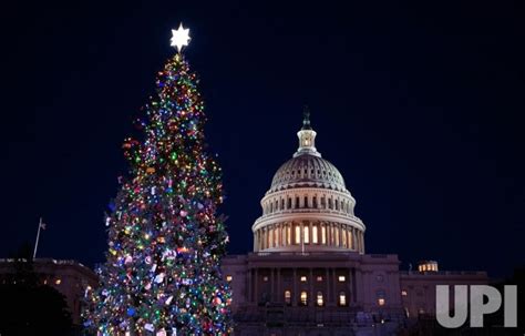 Photo: Capitol Christmas Tree Lighting on Capitol Hill in Washington ...