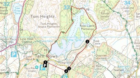 Tarn Hows circular walk | Lake District | National Trust