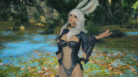 Final Fantasy XIV Viera, Hrothgar character creation - PlayStation Universe