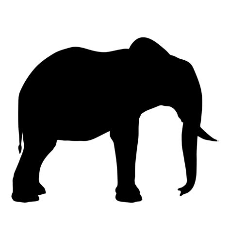 Park, Silhouette, Elephant, Animal, Wildlife #park, #silhouette, # ...