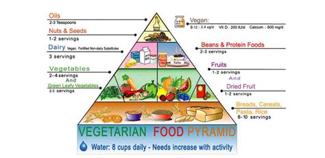 Meatless Monday: Basic Vegetarian Food Pyramid Facts