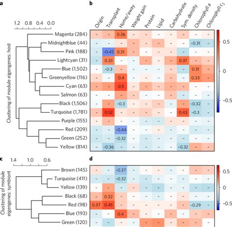 | Hierarchical clustering dendrogram of module eigengenes (the first ...