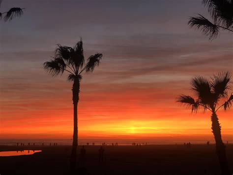 Venice beach sunset tonight : LosAngeles