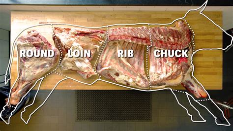 Watch How To Butcher An Entire Cow - Every Cut Of Meat Explained ...