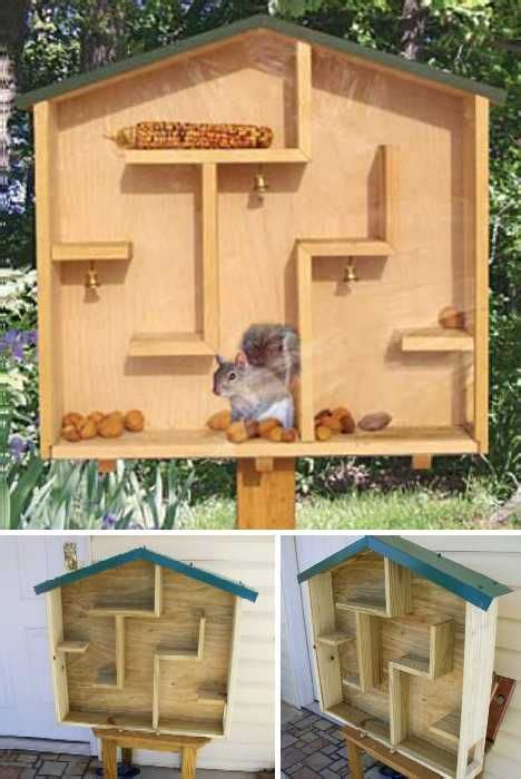 How To Make A Squirrel Feeder Plans DIY Free Download Building A Coat ...