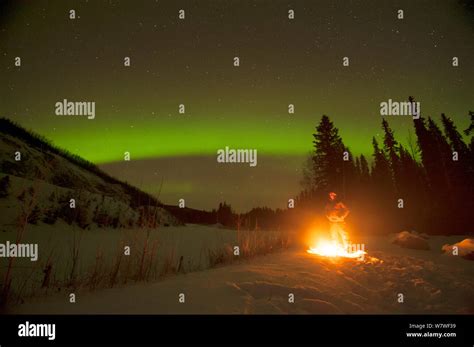 Northern lights (Aurora borealis) glowing brightly over a man enjoying ...