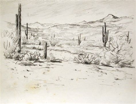 Desert Landscape Drawing at PaintingValley.com | Explore collection of ...