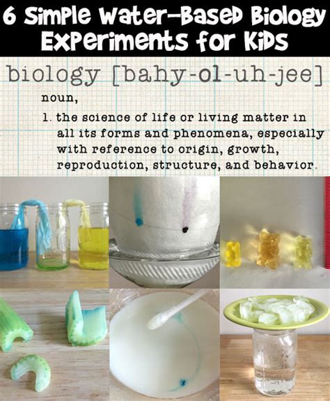 6 Easy Biology Science Experiments for Kids | Woo! Jr. Kids Activities ...