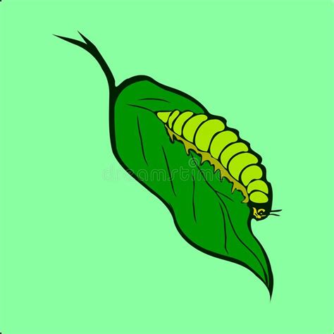 Caterpillar on the Leaf Vector Stock Illustration - Illustration of ...