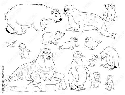 Printable Coloring Pages Of Arctic Animals