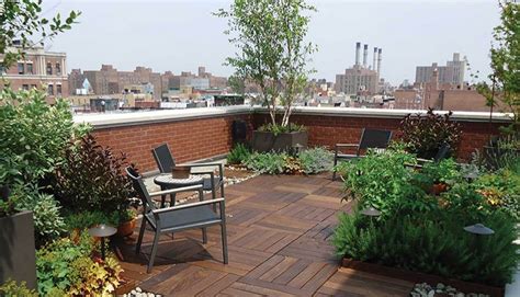 New Age | Rooftop gardening: possibilities and challenges