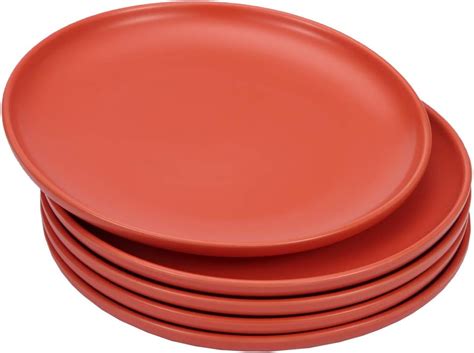 Amazon.com | BonNoces 8-inch Porcelain Dinner Plates, Elegant Matte ...