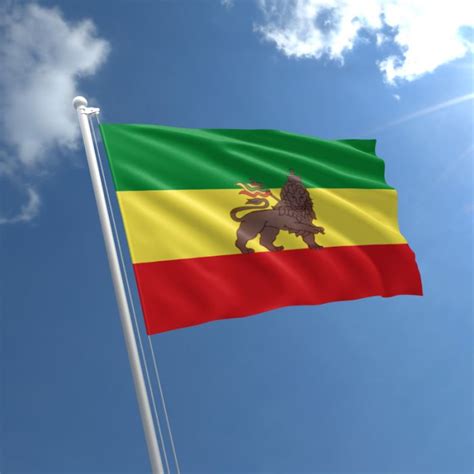 Ethiopian Flag Lion Of Judah