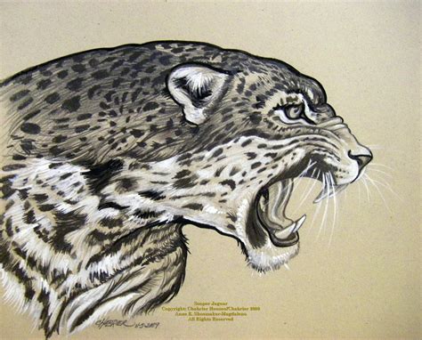 Jaguar Face Illustration