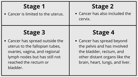 Endometrial Cancer - Symptoms, Causes, and Management - Pains Portal