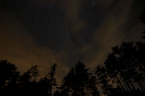 Fotos gratis : naturaleza, bosque, cielo, noche, estrella, atmósfera ...