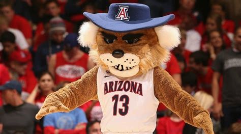 Mascot Monday: The University of Arizona Wildcats - have we featured ...