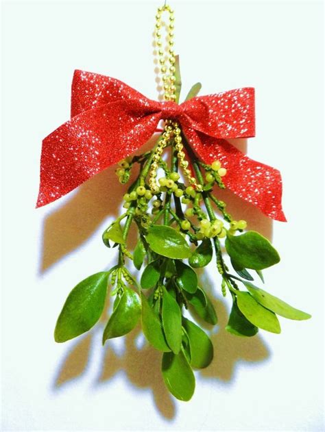 JeffCo Master Gardeners: Holiday Plant Lore: Mistletoe