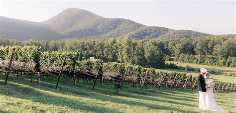 Yonah Mountain Vineyards - Talk of the Town Catering