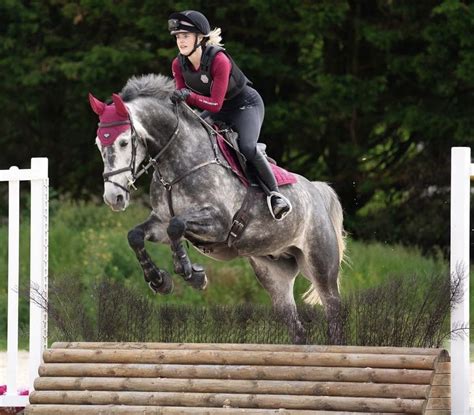 Dapple Grey Arena Cross County | Dapple grey horses, Show jumping ...